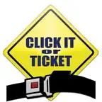 West Virginia Seatbelt Survey iOS Icon