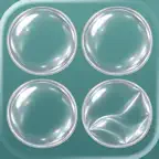 Bubble Wrap Classic Icon
