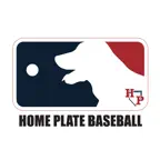 Home Plate Baseball iOS Icon