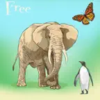 Wunderkind - world of animals game for youngster and cissy iOS Icon