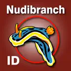 Nudibranch ID Indian Ocean iOS Icon