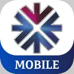 QNB Egypt Mobile Banking Icon