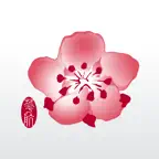 China Airlines App iOS Icon