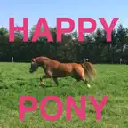 Happy Pony for iPhone by Horse Reader iOS Icon