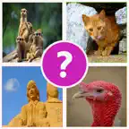 4 Pics 1 Word  Play Daily Guess what's the Picture Puzzle trivia games for free! iOS Icon