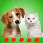 Cat & dog sounds: Perfect app for pets and puppies iOS Icon