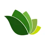 WillisCC iOS Icon