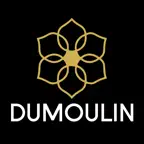 Dumoulin Travel Guides Icon