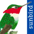 All Birds Colombia field guide icon