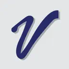 V-ONE Icon