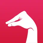 DuckTheLine icon