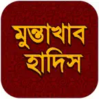 Muntakhab Hadis iOS Icon