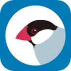 Buncho: Diary with a Lock iOS Icon