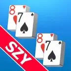 Doubled Card Solitaire by SZY iOS Icon