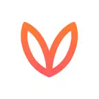 Voicy Studio iOS Icon