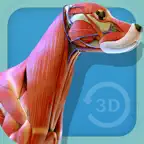 Visual Anatomy - Canine iOS Icon