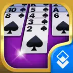 Spider Solitaire Cube iOS Icon