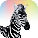 Investec Youth Icon
