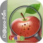 Di@gno-Pom iOS Icon