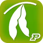 Purdue Extension Soybean Field Scout iOS Icon