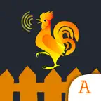 mCLASS Intervention Practice iOS Icon