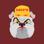 Ugly's Electrical References iOS Icon