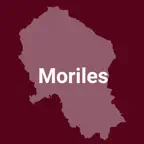 Moriles Icon