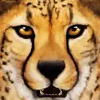 Ultimate Savanna Simulator iOS Icon