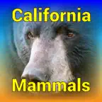 California Mammals iOS Icon