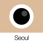 Analog Seoul iOS Icon