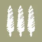 YVC iOS Icon