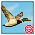 Duck Hunting Season: Wild Bird Shooting 3D iOS Icon