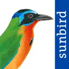 All Birds Trinidad and Tobago iOS Icon