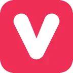 ViViViT Icon