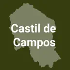 Castil de Campos iOS Icon