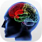 IQ Test (intelligence) Icon