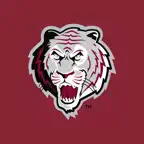 Campbellsville Tigers Icon
