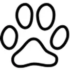 流浪動物平台 iOS Icon