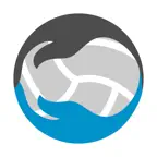 Mein Volleyball icon