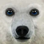 Ultimate Arctic Simulator iOS Icon