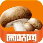 菌菇网 iOS Icon