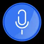 Voice Recorder: HD Audio Memo iOS Icon