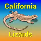 California Lizards iOS Icon