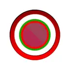 Automatic Voice Recorder Pro - AVR Record iOS Icon