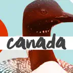 Oh Canada Stickers & Badges iOS Icon