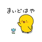 Chick JP Toyama Sticker iOS Icon