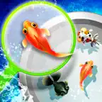 Shin Goldfish Scooping iOS Icon
