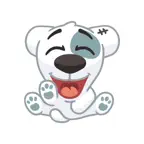 Spotty VK iOS Icon