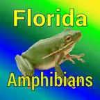Florida Amphibians iOS Icon