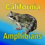 California Amphibians iOS Icon